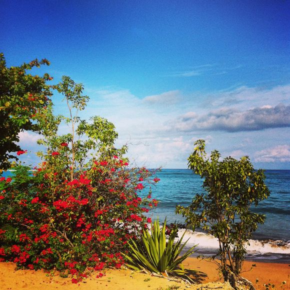 Guadeloupe. Carte postale #1